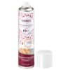 Spray alimentaire démoulage facile 250 ml GOBEL